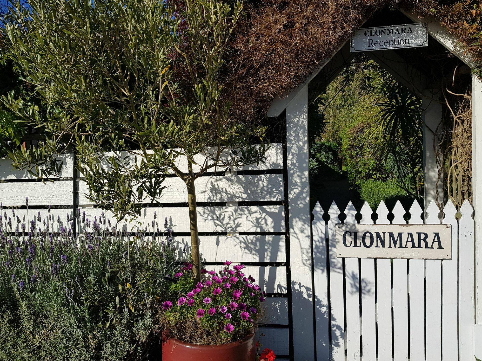 Clonmara Country House And Cottages Port Fairy Exterior photo